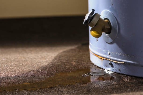 Best Water damage restoration mold remediation  in Pine City, MN