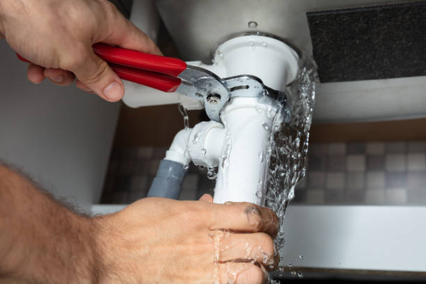Best Sewage cleanup and water damage restoration  in Pine City, MN