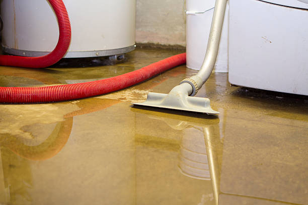 Best Flooded house restoration  in Pine City, MN