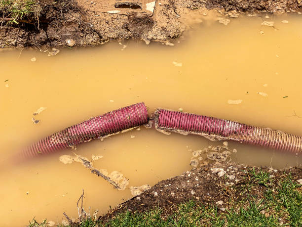Best Emergency water damage restoration  in Pine City, MN
